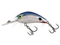 Esche Salmo Hornet Rattlin H5.5 -  Red Tail Shiner (RTS)