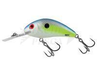 Esche Salmo Hornet Rattlin H5.5 -  Sexy Shad (SXS)