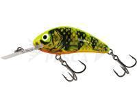 Esche Salmo Hornet Rattlin H6.5 - Gold Fluo Perch