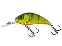 Esche Salmo Hornet Rattlin H6.5 - Hot Perch