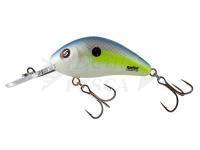 Esche Salmo Hornet Rattlin H6.5 - Sexy Shad