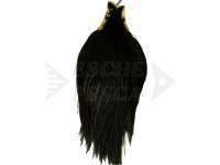 Collo Keough Tyer`s Grade Cape - Black