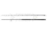 Canna Savage Gear Defiance SG2 Shore Jigging 2.90m 50-120g