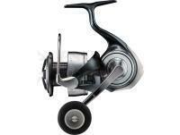 Mulinello Daiwa 24 Certate(G) LT 5000D