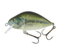 Esca Dorado Lake L-7 Floating BS