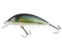 Esca Hegemon Lucky 6cm - Jazgarz (Ruffe)