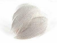 Mallard Duck Drake Grey Flank Large 5-8cm - NATURAL
