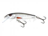 Esche Salmo Minnow M5F - Dace