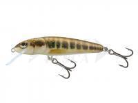 Esche Salmo Minnow M5F - Minnow