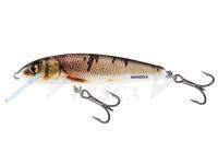 Esche Salmo Minnow M5F - Wounded Dace