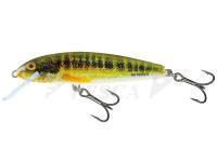 Esche Salmo Minnow M5S - Holo Real Minnow