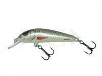 Esche Salmo Minnow M7F - Dace