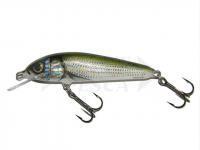 Esche Salmo Minnow M7F HBL