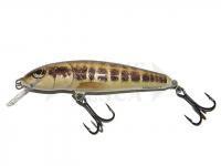 Esche Salmo Minnow M7F - Minnow