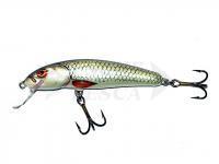 Esche Salmo Minnow M7S D