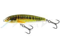 Esche Salmo Minnow M7S - Holo Real Minnow