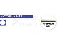 Ni-Titanium Wire 25cm