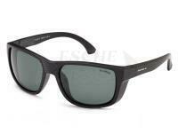 Polarised Sunglasses Solano FL 20065D