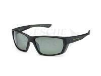 Solano Polarized Sunglasses FL 20077 - C