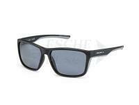 Solano Polarized Sunglasses FL 20078 - B
