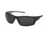 Polarized Sunglasses Solano SP 20100A