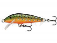 Esche Rapala Original Floater 5cm - Brook Trout