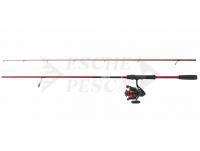 Penn Fierce IV Labrax Combo 2.10m 10-30g + Fierce IV 2500 CMB