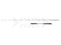 Canna Penn Regiment IV Tairubber Spinning 1.98m max 80g