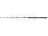Canna Penn Warfare II Trolling & Drifting Rod 1.70m 20-30lb