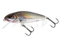 Esche Salmo Perch PH12F - Holo Grey Shiner