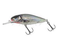 Esche Salmo Perch PH8DR HGS