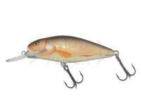 Esche Salmo Perch PH8DR - Real Roach