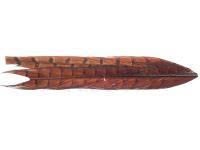 Pheasant Tail - Rusty