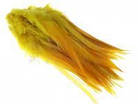 Rooster Saddle Feather - Copper Olive