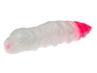 Esche FishUp Pupa Garlic Trout Series 1.2 inch | 32mm - 132 White / Bubble Gum