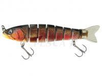 Esca Jenzi Jeronimo Trout 14cm 28g Slow Sinking - Gold-Trout