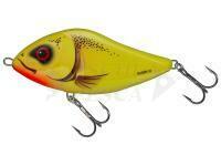 Esca Salmo Slider SD10F Chart