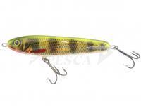 Esca Salmo Sweeper 17cm - Holo Perch (HP) | Limited Edition Colours