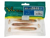 Esca Siliconicha Viva Kiracchi Shad 3.8 inch - 059