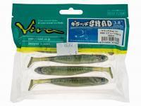 Esca Siliconicha Viva Kiracchi Shad 3.8 inch - 060