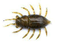 Esche FishUp Maybug 1.3" #074 - Green Pumpkin Seed
