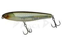 Esche Water Monitor 95 9.5cm 20g - HS Ghost Minnow