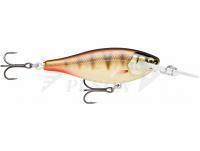Esche Rapala Shad Rap Elite 5.5cm - Gilded Copper Perch