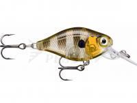 Esche Rapala X-Light Crank Mid Runner 3.5cm - Glassy Gill UV