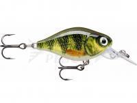 Esche Rapala X-Light Crank Mid Runner 3.5cm - Live Perch