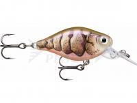 Esche Rapala X-Light Crank Mid Runner 3.5cm - Purple Prawn UV