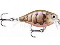 Esche Rapala X-Light Crank Shallow Runner 3.5cm - Purple Prawn UV