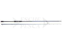 Canna Savage Gear SGS6 Long Casting 9'6'' 2.90m F 15-50g MH PE#1.0-1.5 2sec