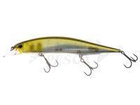 Esca DUO Realis Jerkbait 120SP - DRA3050 Half Mirror Ayu