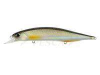 Esca DUO Realis Jerkbait 120SP Pike Limited - ANA3261 Silver Roach